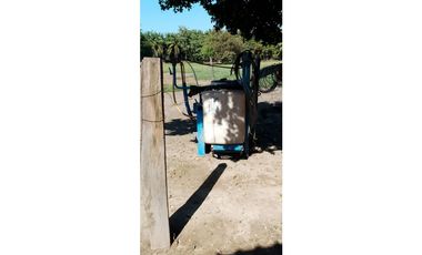 ESPLENDOR RURAL EN UN RANCHO EJIDAL EN MAPASTEPEC CHIAPAS
