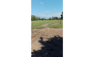 ESPLENDOR RURAL EN UN RANCHO EJIDAL EN MAPASTEPEC CHIAPAS