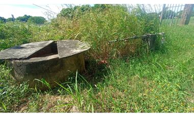 ESPLENDOR RURAL EN UN RANCHO EJIDAL EN MAPASTEPEC CHIAPAS