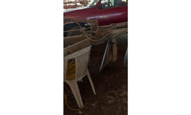 ESPLENDOR RURAL EN UN RANCHO EJIDAL EN MAPASTEPEC CHIAPAS