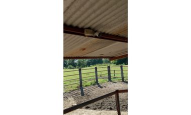 ESPLENDOR RURAL EN UN RANCHO EJIDAL EN MAPASTEPEC CHIAPAS
