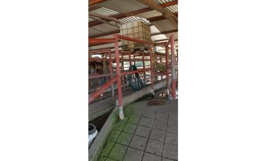ESPLENDOR RURAL EN UN RANCHO EJIDAL EN MAPASTEPEC CHIAPAS