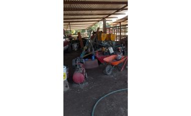 ESPLENDOR RURAL EN UN RANCHO EJIDAL EN MAPASTEPEC CHIAPAS