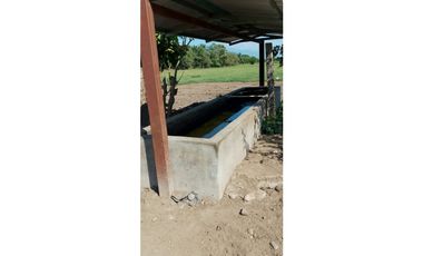 ESPLENDOR RURAL EN UN RANCHO EJIDAL EN MAPASTEPEC CHIAPAS
