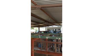 ESPLENDOR RURAL EN UN RANCHO EJIDAL EN MAPASTEPEC CHIAPAS