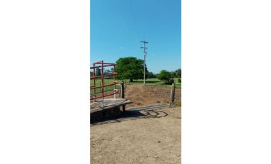 ESPLENDOR RURAL EN UN RANCHO EJIDAL EN MAPASTEPEC CHIAPAS