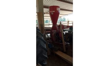 ESPLENDOR RURAL EN UN RANCHO EJIDAL EN MAPASTEPEC CHIAPAS