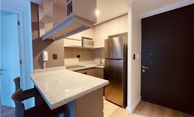 ARRIENDO METRO REPUBLICA / ABDON CIFUENTES