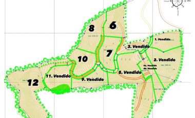 LOTES EN VENTA DESDE $60.000.000 EN PALESTINA CALDAS | VENTA LOTES