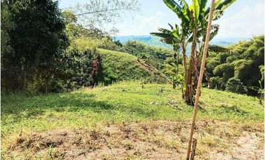 LOTES EN VENTA DESDE $60.000.000 EN PALESTINA CALDAS | VENTA LOTES