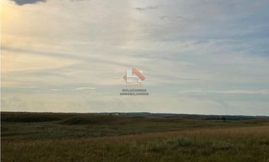 FINCA DE 2.200 HECTAREAS EN VENTA, VICHADA
