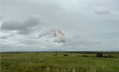 FINCA DE 2.200 HECTAREAS EN VENTA, VICHADA