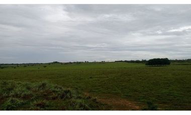 FINCA DE 2.200 HECTAREAS EN VENTA, VICHADA