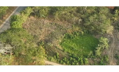 VENTA DE LOTE EN LA VA PLANETA RICA