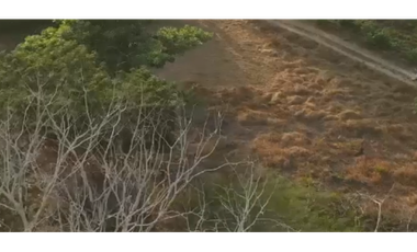 VENTA DE LOTE EN LA VA PLANETA RICA