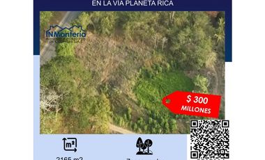 VENTA DE LOTE EN LA VA PLANETA RICA