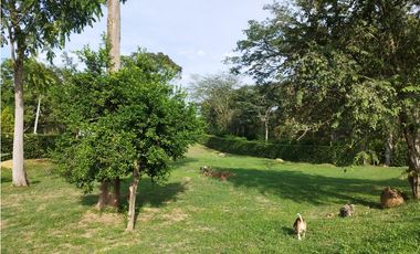 Venta De Finca En Sopetran