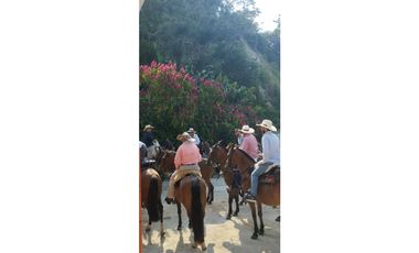 Venta Finca Hotel Sabaletas Montebello Antioquia P