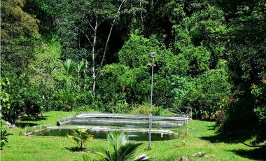 Venta Finca Hotel Sabaletas Montebello Antioquia P