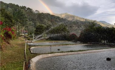 Venta Finca Hotel Sabaletas Montebello Antioquia P