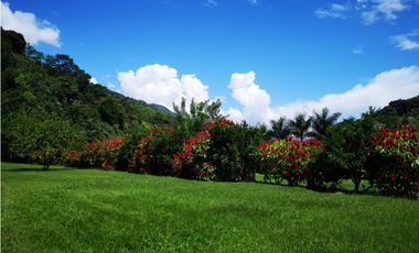 Venta Finca Hotel Sabaletas Montebello Antioquia P