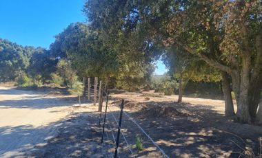 TERRENOS EN VENTA A PRECIOS ACCESIBLES EN TECATE