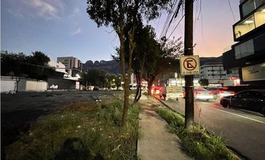 Terreno Comercial en Renta en Vasconcelos