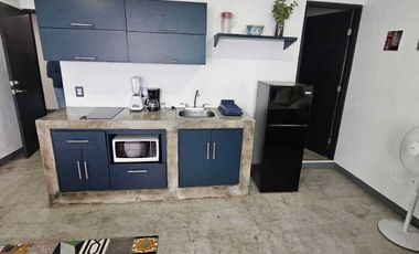 Loft en renta Zona Centro