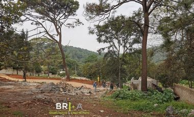 VISTA I BOSQUE AVANDARO