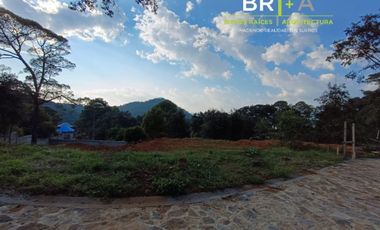 VISTA I BOSQUE AVANDARO