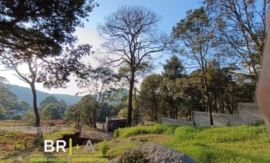 VISTA I BOSQUE AVANDARO