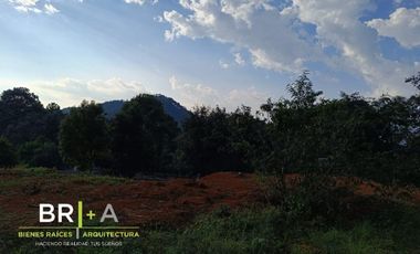 VISTA I BOSQUE AVANDARO