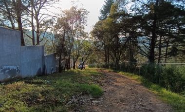VISTA I BOSQUE AVANDARO