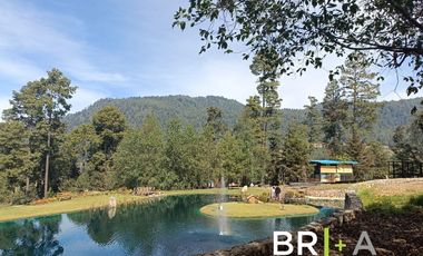 Hermosas Villas en venta en Reserva Saucos