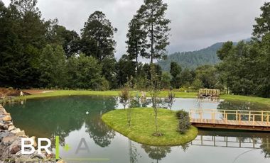 Hermosas Villas en venta en Reserva Saucos