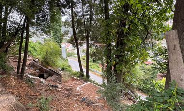 Parcela en venta en CONCEPCIÓN