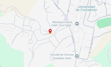 Parcela en venta en CONCEPCIÓN