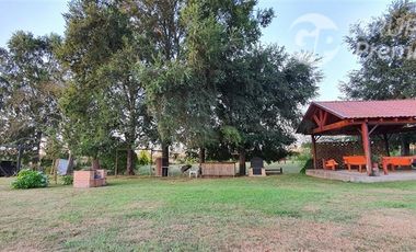 Parcela en Venta en Sector Los Castaños, comuna de Freire
