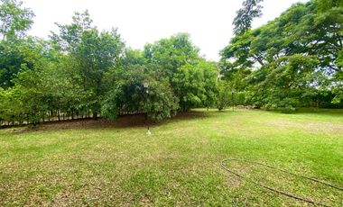 Venta Lote Independiente Rozo (M)