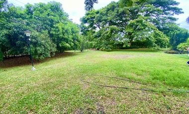 Venta Lote Independiente Rozo (M)