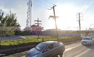 Ruiz Cortines