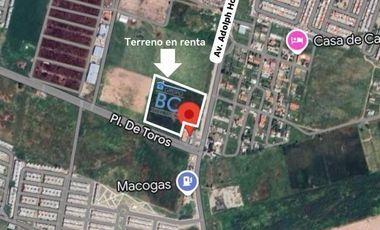 Terreno en Renta sobre Av Adolph Horn