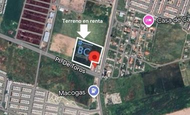 Terreno en Renta sobre Av Adolph Horn