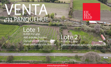 Lo Campo, Panquehue, V Región. Parcelas en venta.