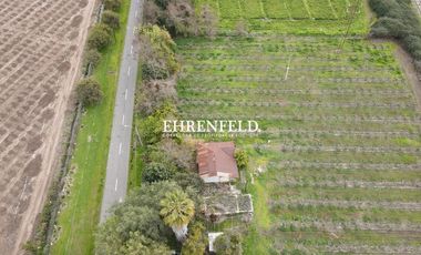 Lo Campo, Panquehue, V Región. Parcelas en venta.