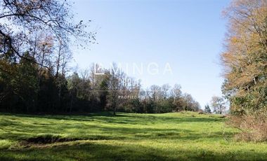 Sitio en Venta en Panguipulli