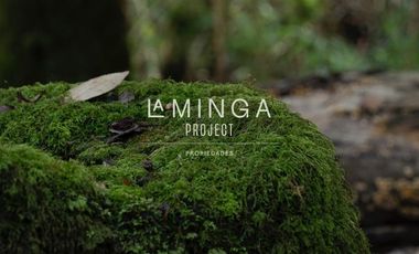 Sitio en Venta en Panguipulli