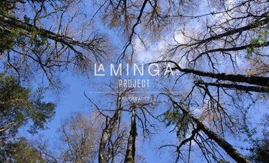 Sitio en Venta en Panguipulli