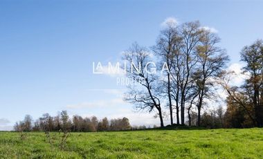 Sitio en Venta en Panguipulli