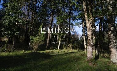 Sitio en Venta en Panguipulli
